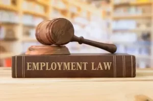 Employment and Labour Law